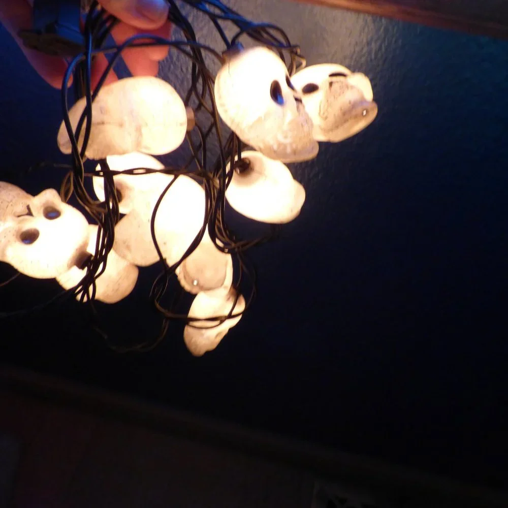 HALLOWEEN LIGHTING SET WHIRL A MOTION SPIDERWEB JACK O LANTERN AND SKULL LIGHTS